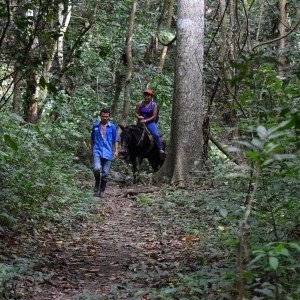 Tayrona